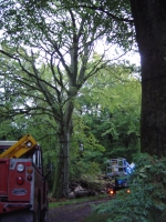 4th October 2008 021